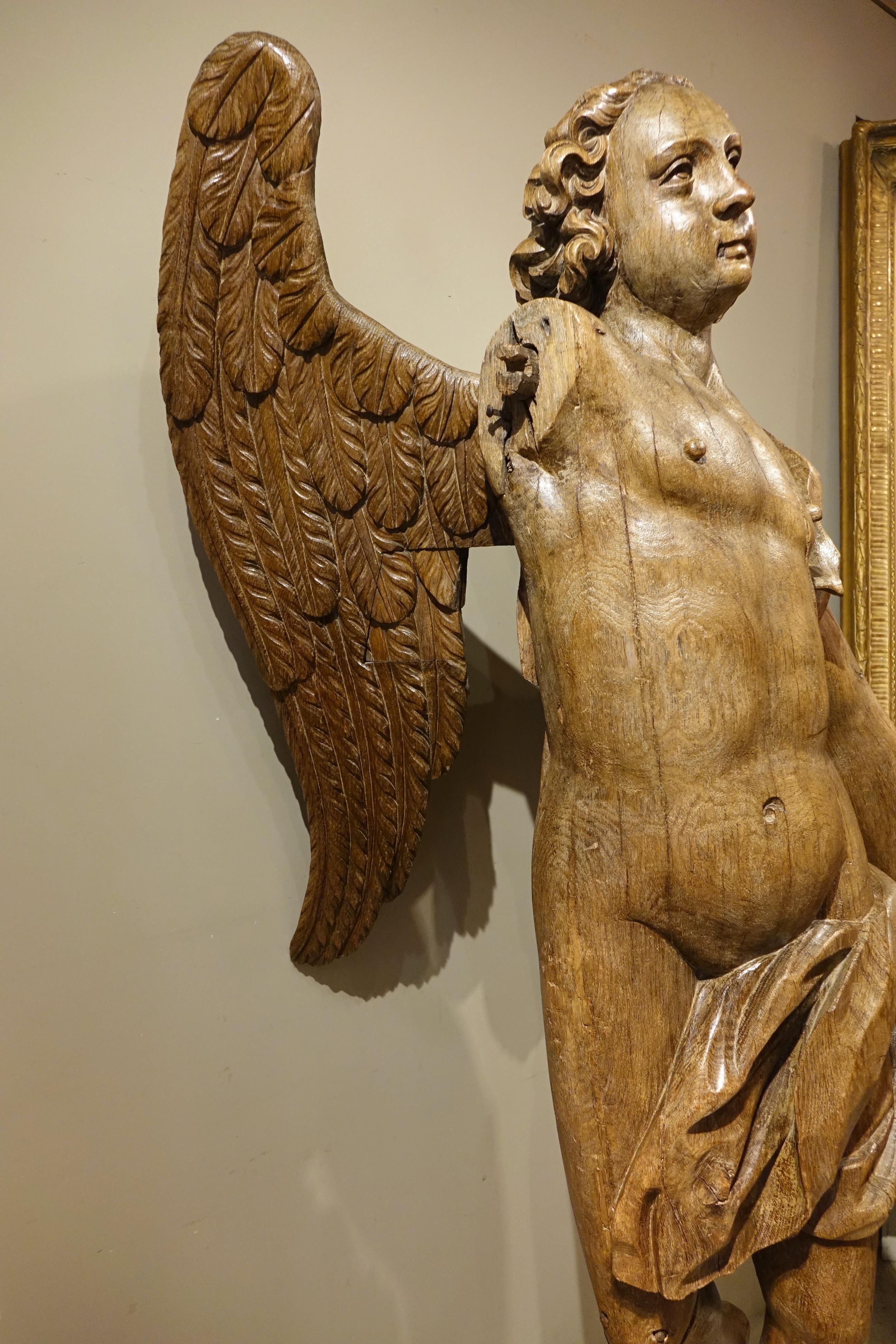 18th Century and Earlier Very Large Oak Winged Angel, 17th century