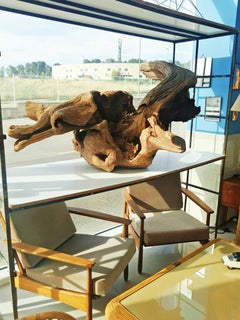 Very Large Old Natural Organic Sculptural Teak Driftwood