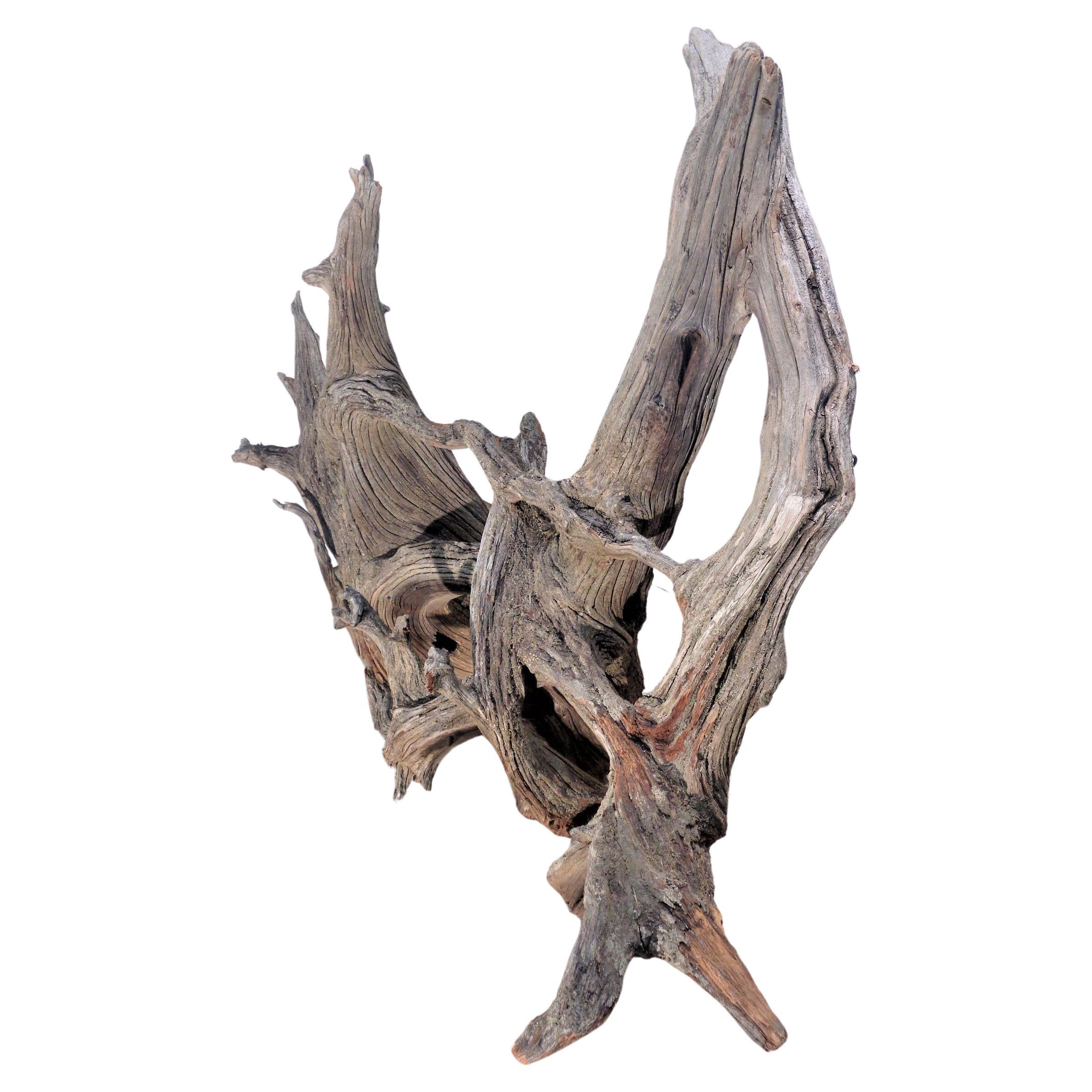 Large Old Weathered Driftwood 3