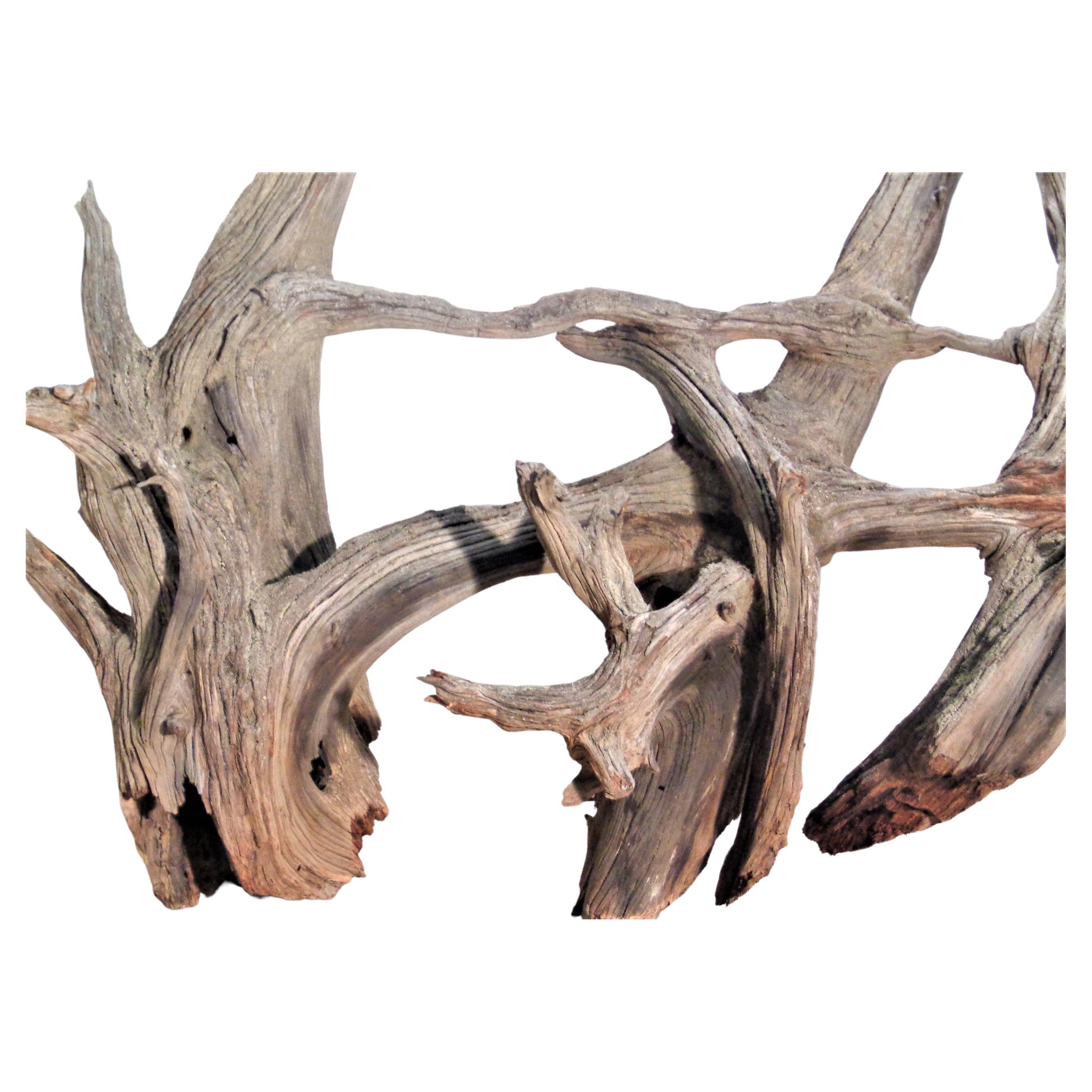 driftwood sphere holder