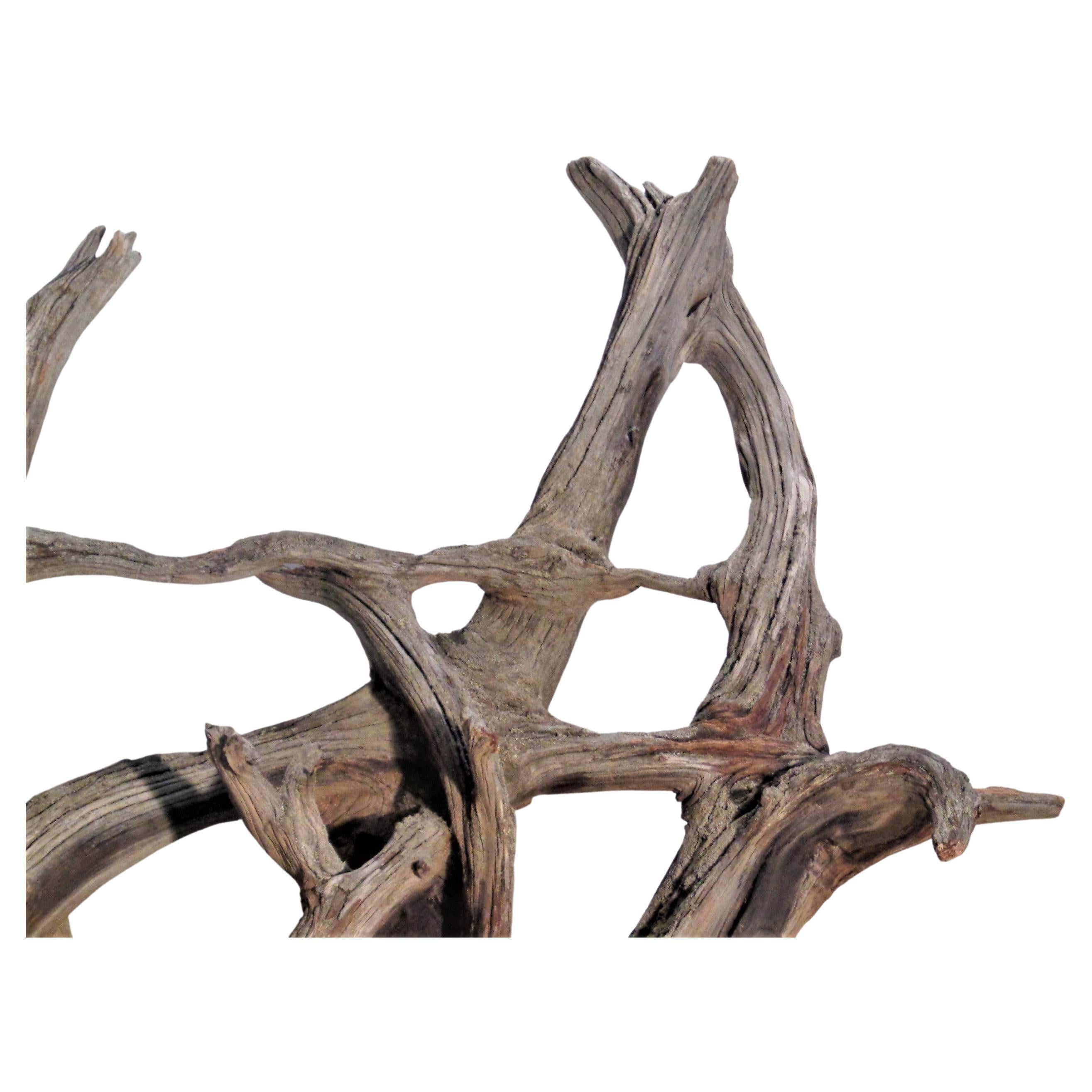 American  Large Old Weathered Driftwood  For Sale