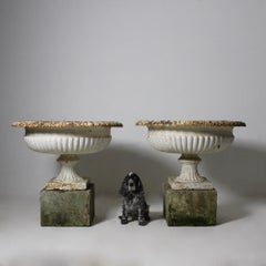 Very Large Pair of 19th Century Cast Iron Garden Urns