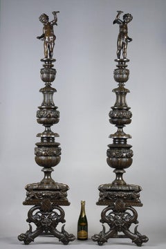 Very large pair of andirons in patinated bronze, Renaissance style