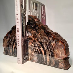 Very Large Pair of Bookmatched Petrified Wood Bookends