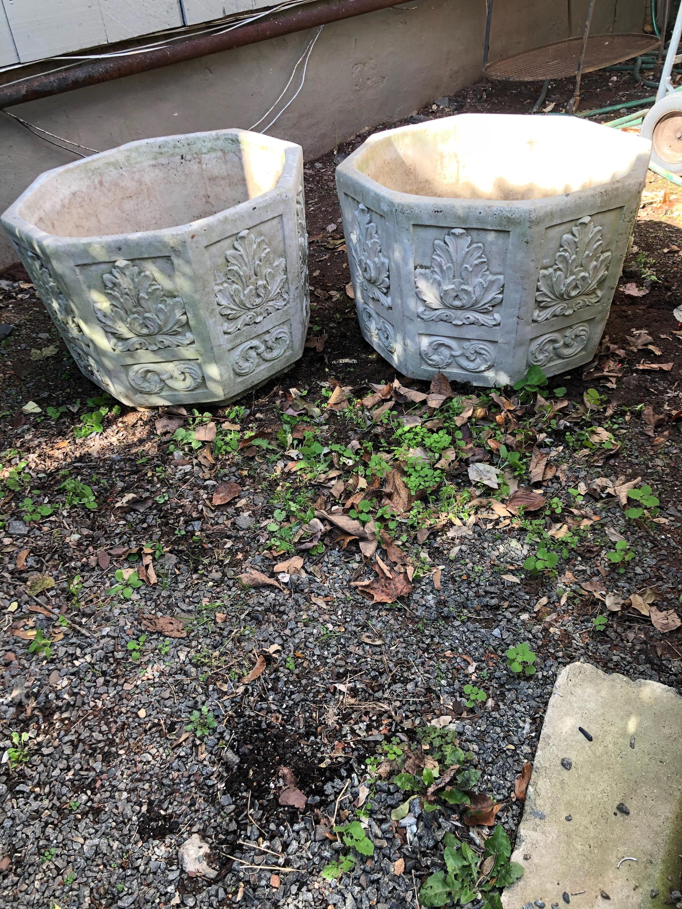 cement flower pots for sale