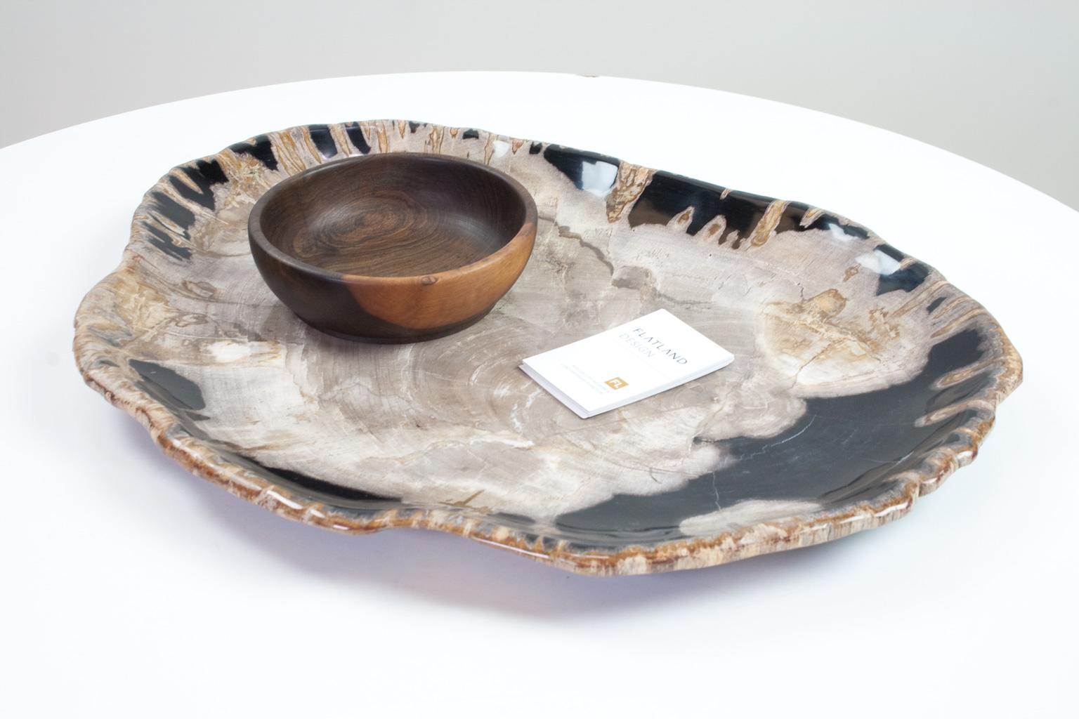 Very large petrified wooden plate, platter or flat tray. Smooth sanded and polished on both sides. This ancient and organically shaped object is an unique piece for any space. The contrasting charcoal grey and beige tones paired with the scale and