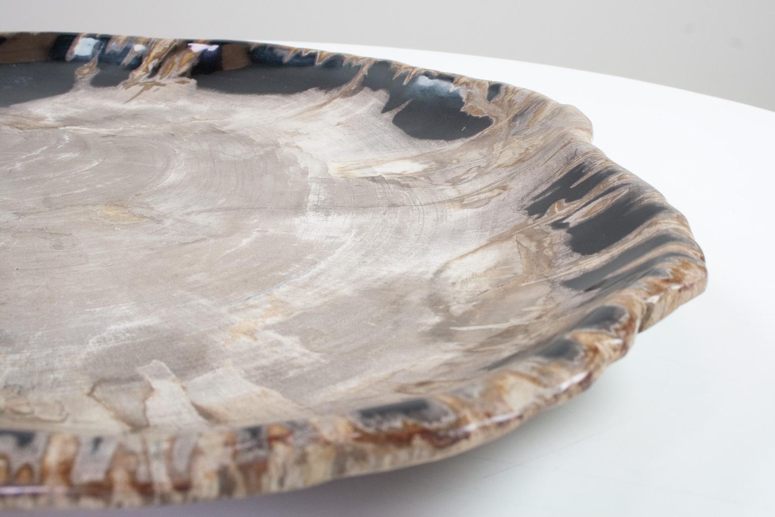 Organic Modern Very Large Petrified Wood Plate or Flat Tray, Home Accessory of Organic Origin