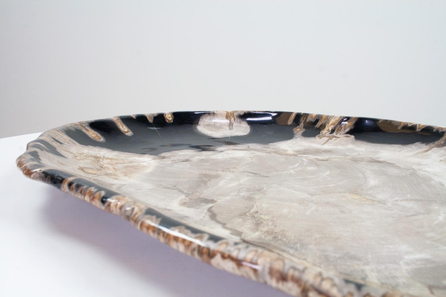 Indonesian Very Large Petrified Wood Plate or Flat Tray, Home Accessory of Organic Origin