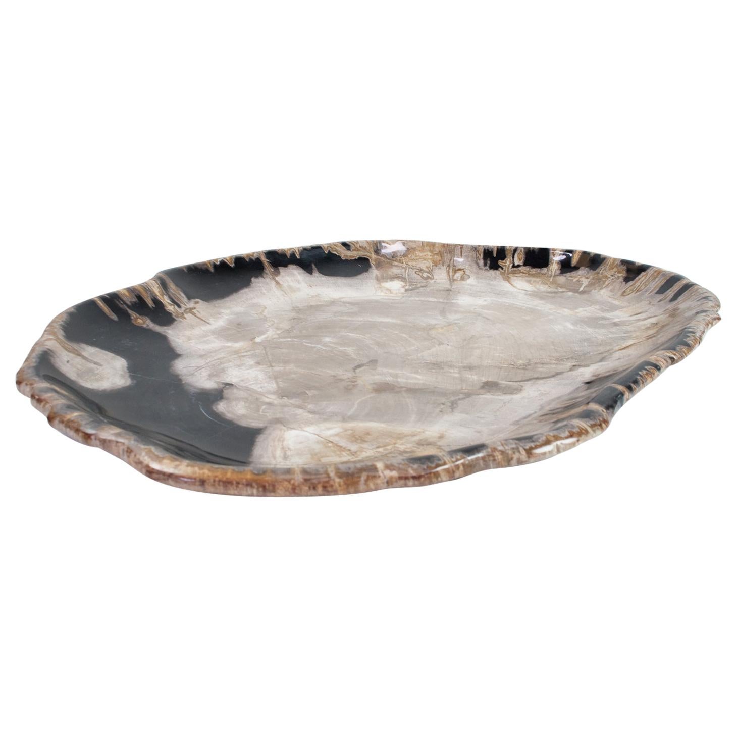 Very Large Petrified Wood Plate or Flat Tray, Home Accessory of Organic Origin