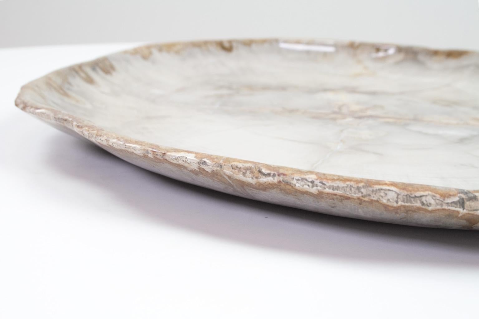 18th Century and Earlier Very Large Petrified Wood Plate or Platter, Home Accessory of Organic Origin