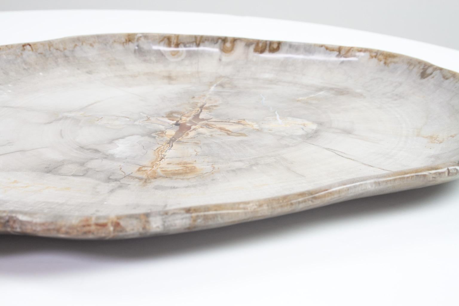 Stone Very Large Petrified Wood Plate or Platter, Home Accessory of Organic Origin
