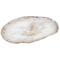 Very Large Petrified Wood Plate or Platter, Home Accessory of Organic Origin