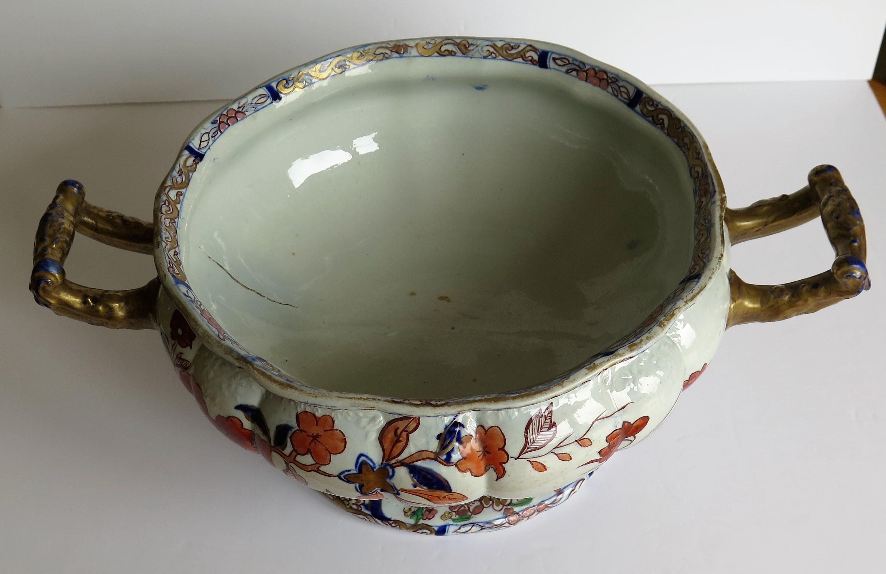 Mason's Ironstone Bowl Very large in Peking Vase Pattern, Georgian circa 1820 8