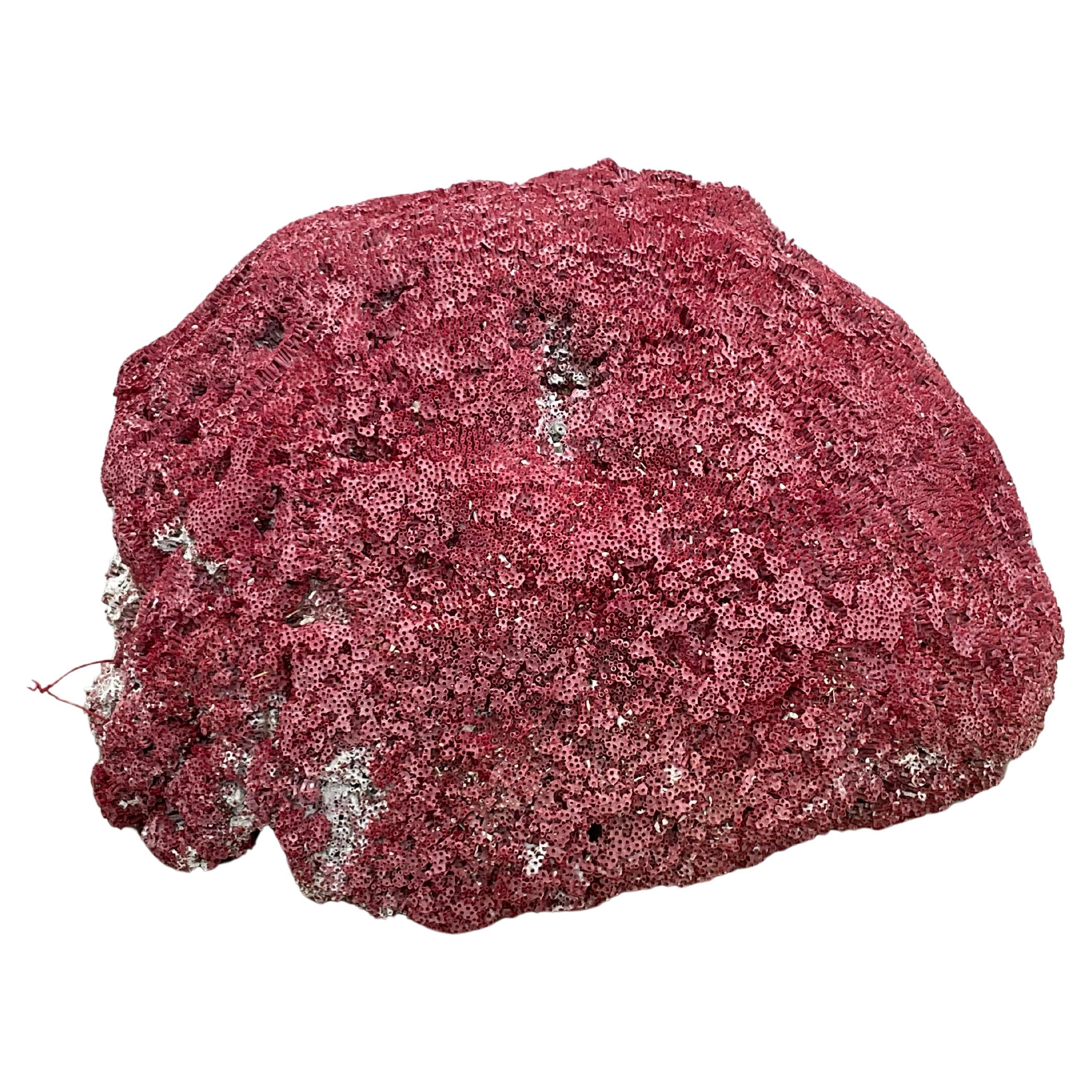 20th Century Very Large Red Coral Specimen #3 For Sale
