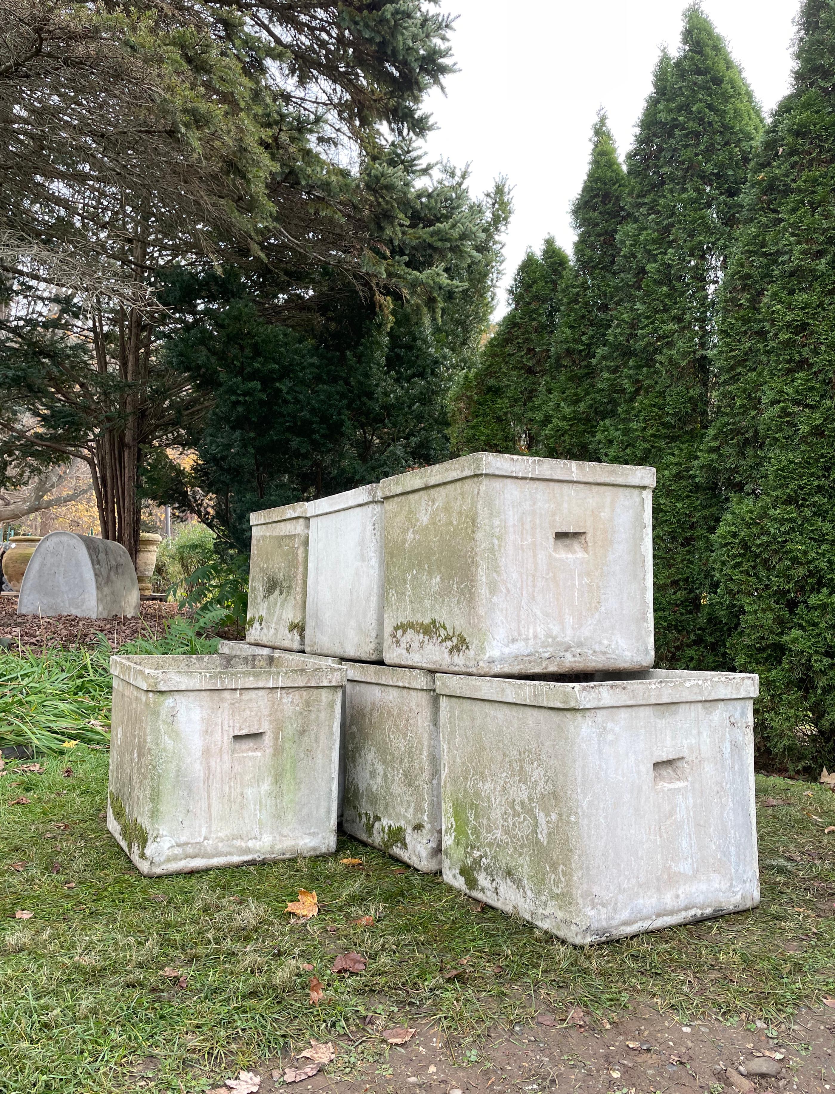 Swiss Very Large Square Planters by Willy Guhl