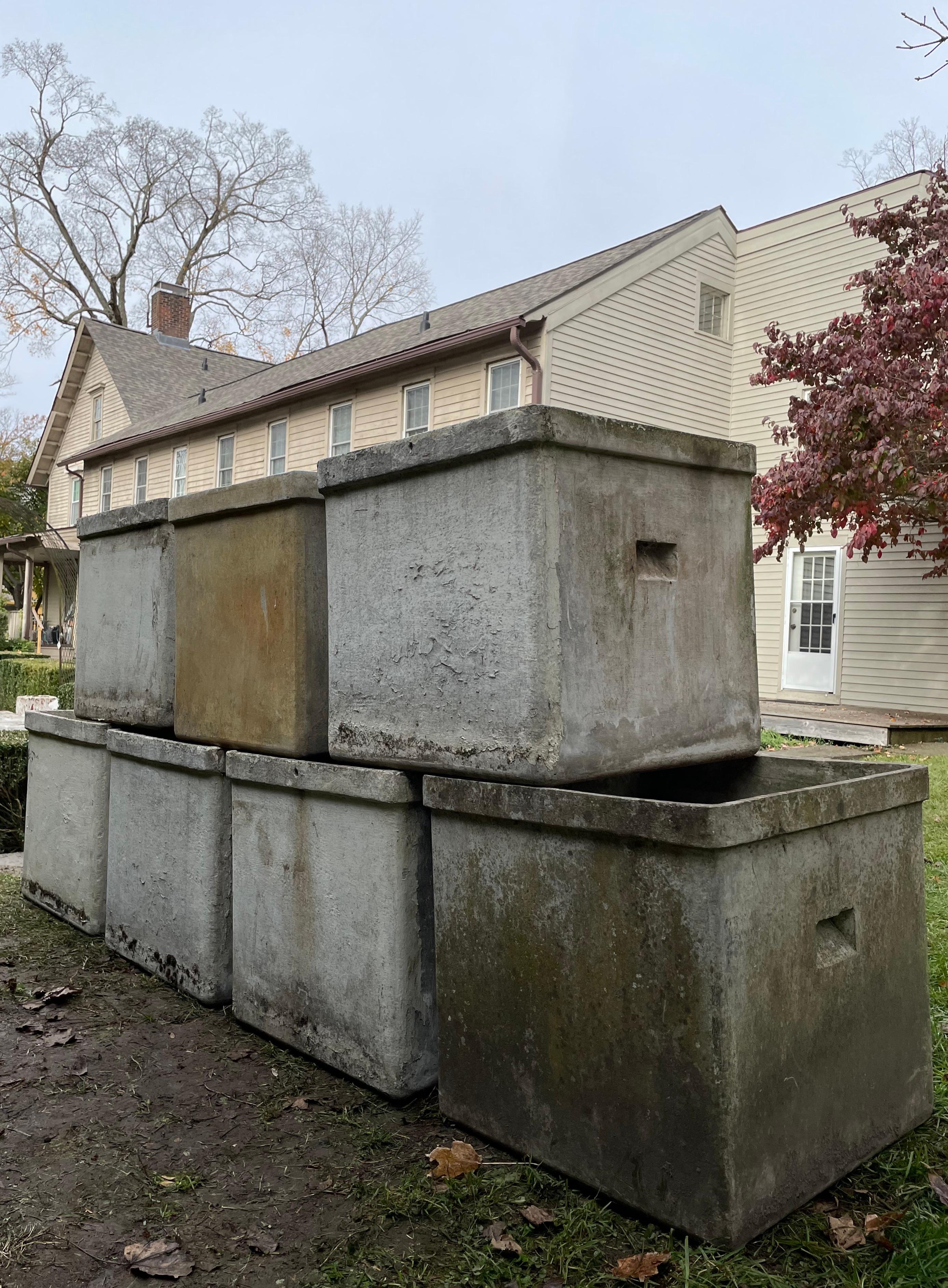 20th Century Very Large Square Planters by Willy Guhl