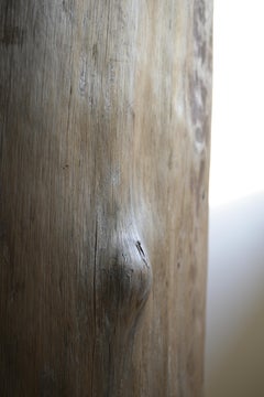 Sehr großer schwedischer „dug out barrel“-Schrank aus der Zeit um 1890.