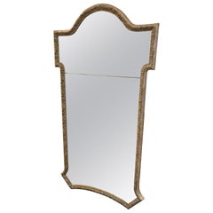 Very Large Vertical Full Length 19th Century Silver Gilt Antique Mirror
