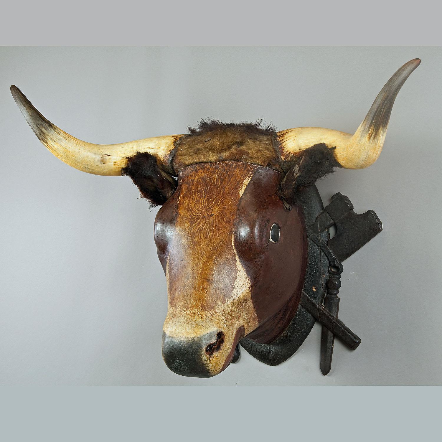Very Large Wooden Carved Bull Head from a Butchery ca. 1880

A very large wooden carved bull head. Formerly a shop decoration in a south German butcher's shop. Handcarved ca 1880, ears and horns original from a bull. The wooden plaque is decorated