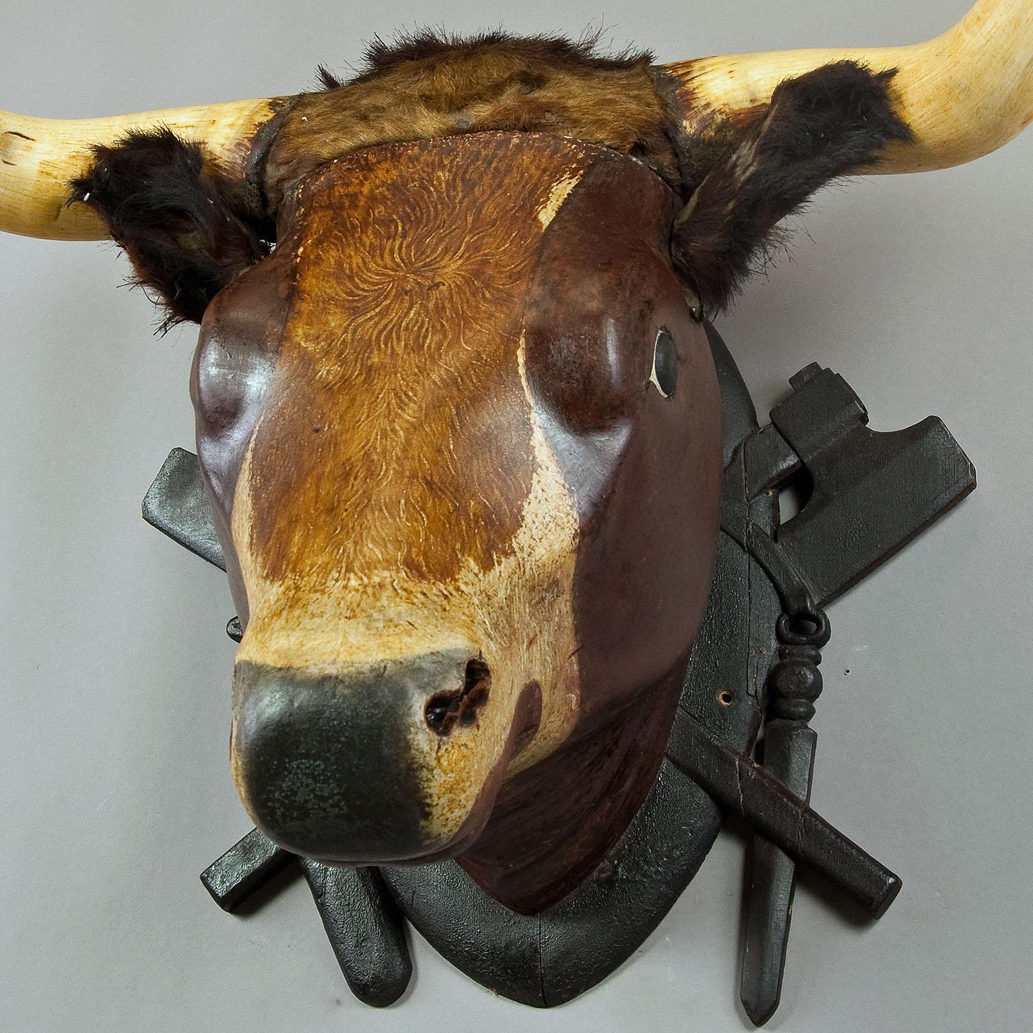 Black Forest Very Large Wooden Carved Bull Head from a Butchery ca. 1880 For Sale