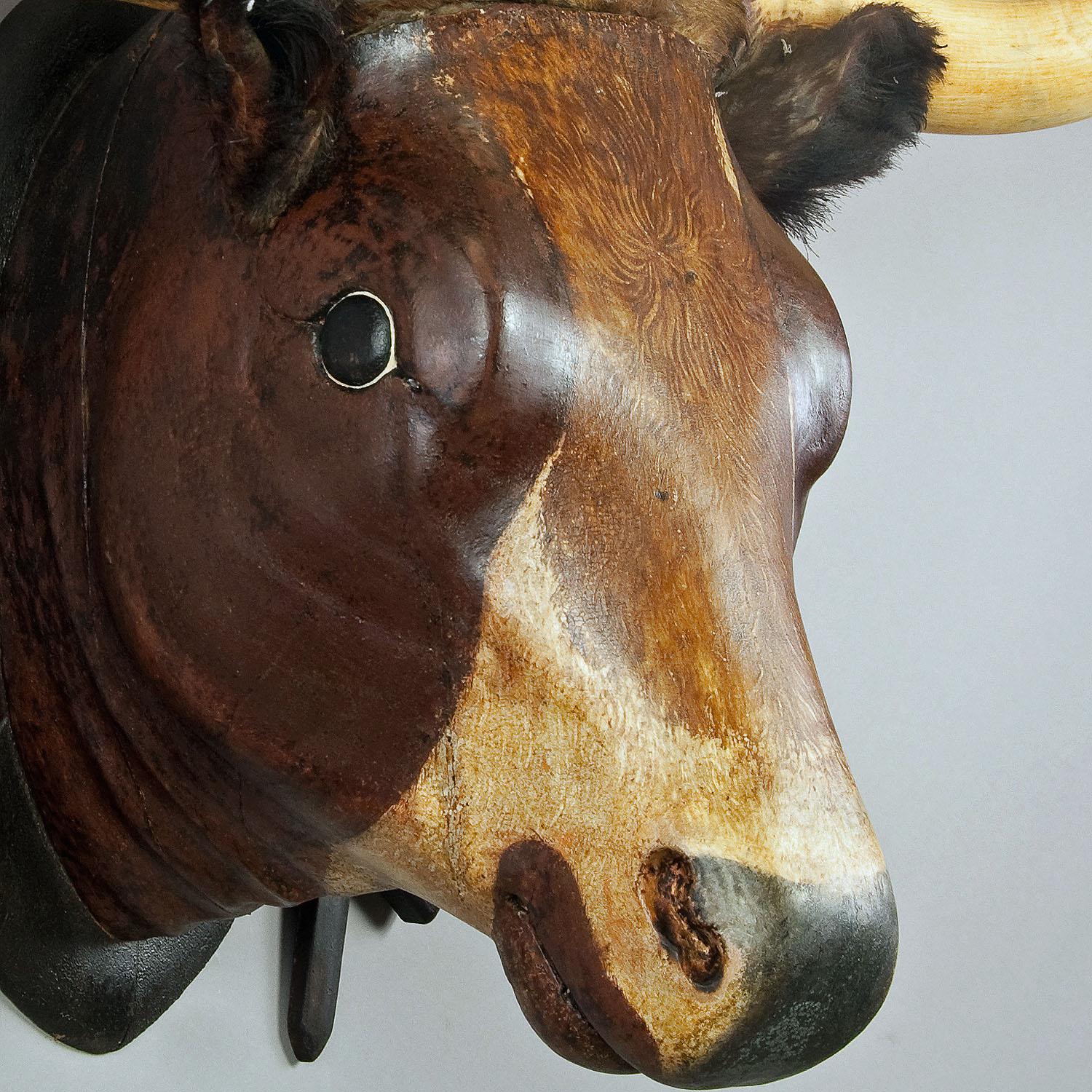 Très grande tête de taureau en bois sculptée provenant d'une boucherie, vers 1880 Bon état - En vente à Berghuelen, DE