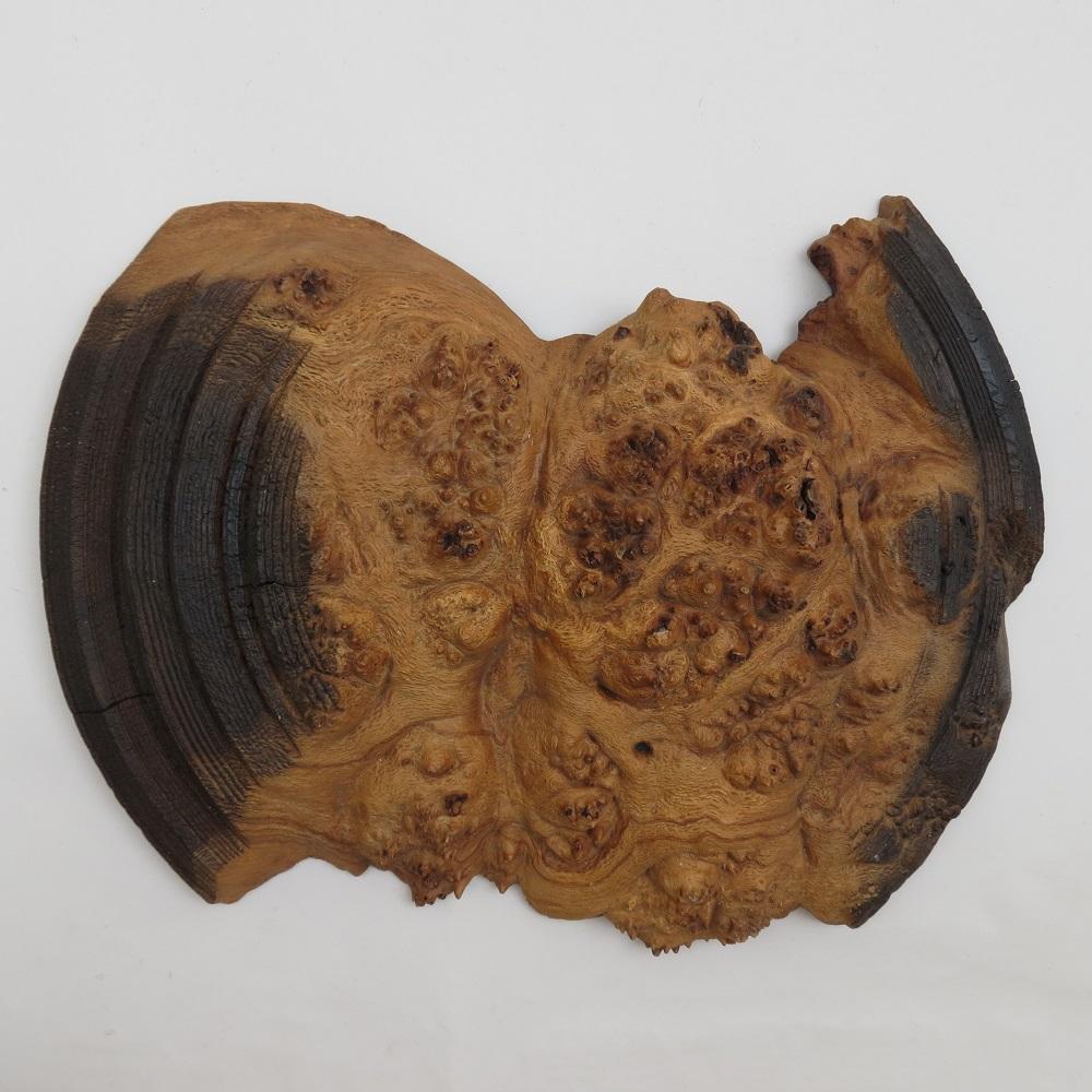 Very large and impressive wall sculpture by Mike Scott Chai and dates from the early 1980s.  This very large sculpture has been skillfully hand turned from solid Burr Oak.  Scorching to the finish is a technique often used by Mike Chai to create