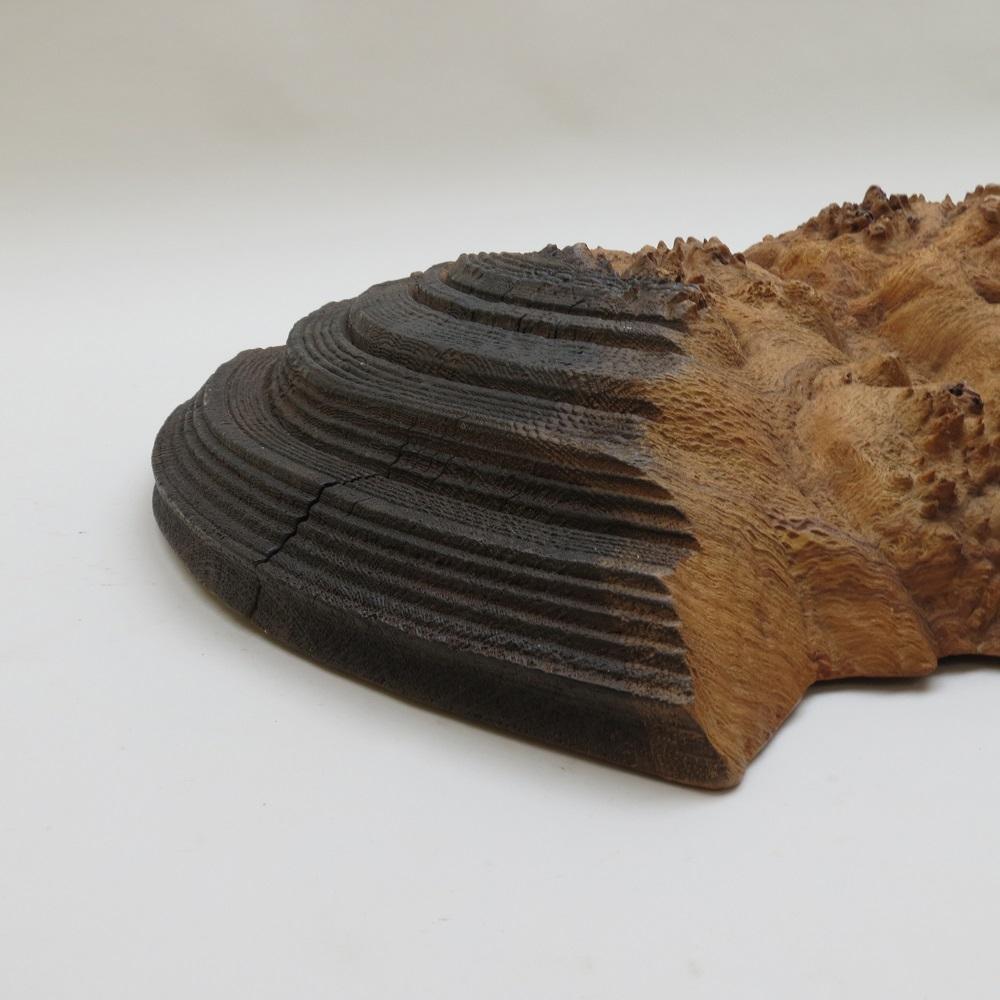 Hand-Crafted Very large Wooden Wall Sculpture in Burr Oak Mike Scott Chai For Sale