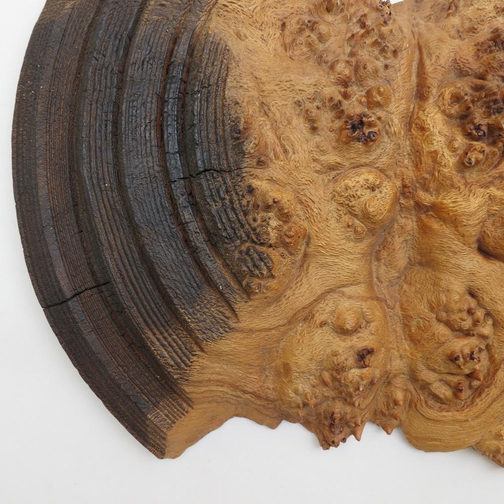 20th Century Very large Wooden Wall Sculpture in Burr Oak Mike Scott Chai For Sale