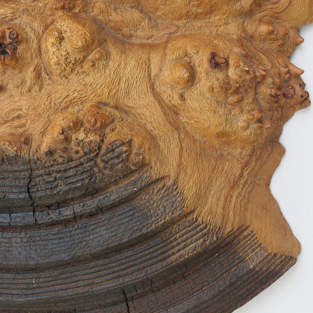 Very large Wooden Wall Sculpture in Burr Oak Mike Scott Chai For Sale 1