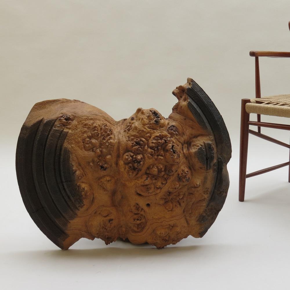 Very large Wooden Wall Sculpture in Burr Oak Mike Scott Chai For Sale 2
