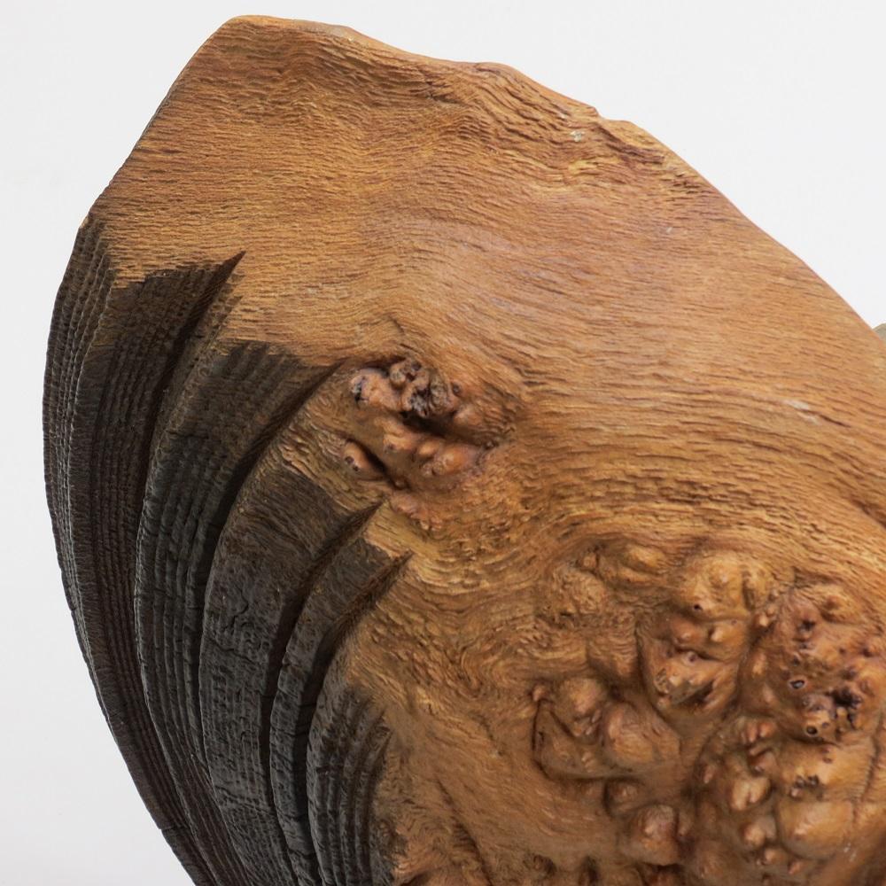 Very large Wooden Wall Sculpture in Burr Oak Mike Scott Chai For Sale 3