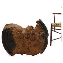 Very large Wooden Wall Sculpture in Burr Oak Mike Scott Chai