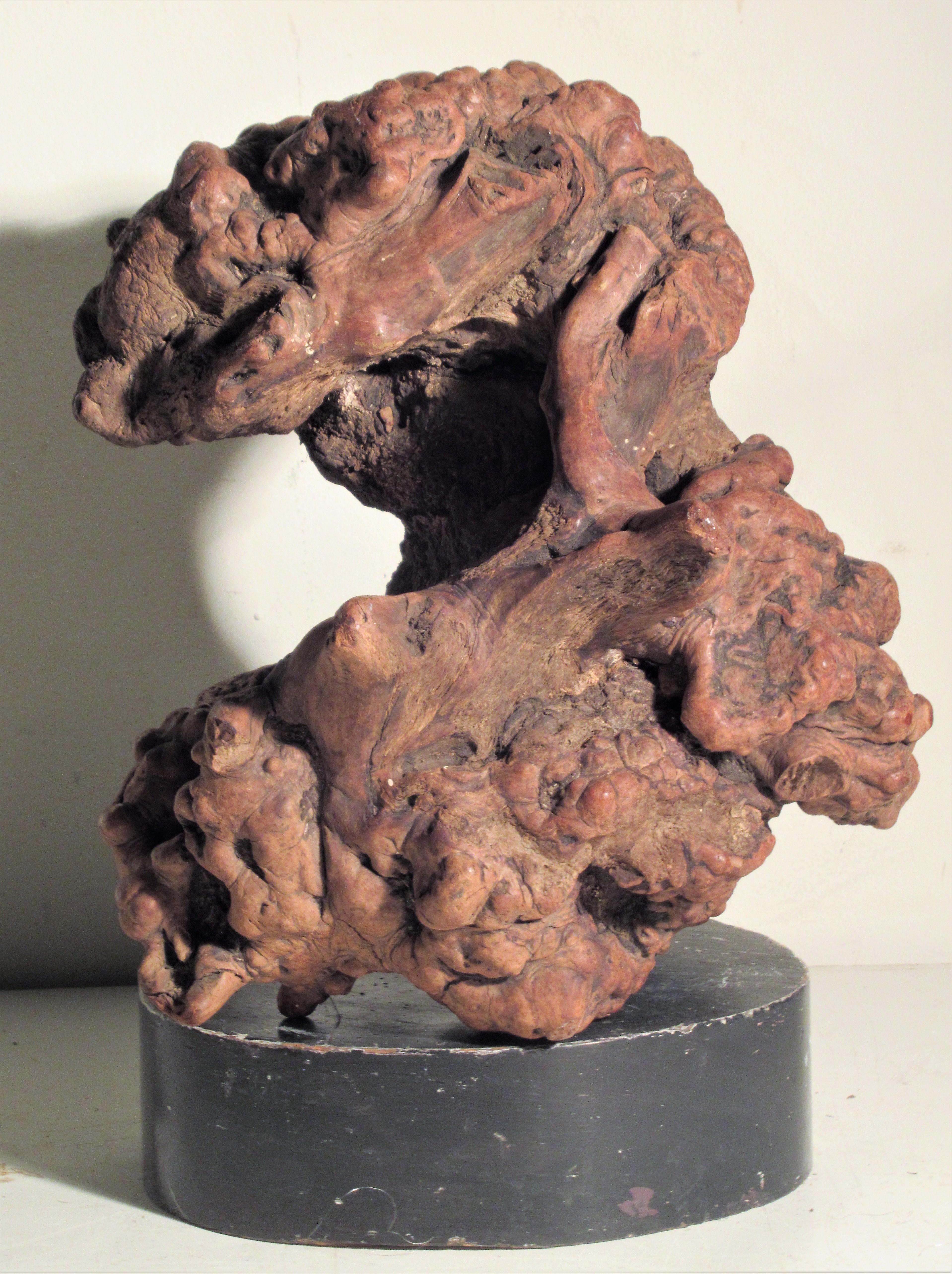 Very Old Asian Burl Root Wood Scholars Stone Object In Good Condition In Rochester, NY