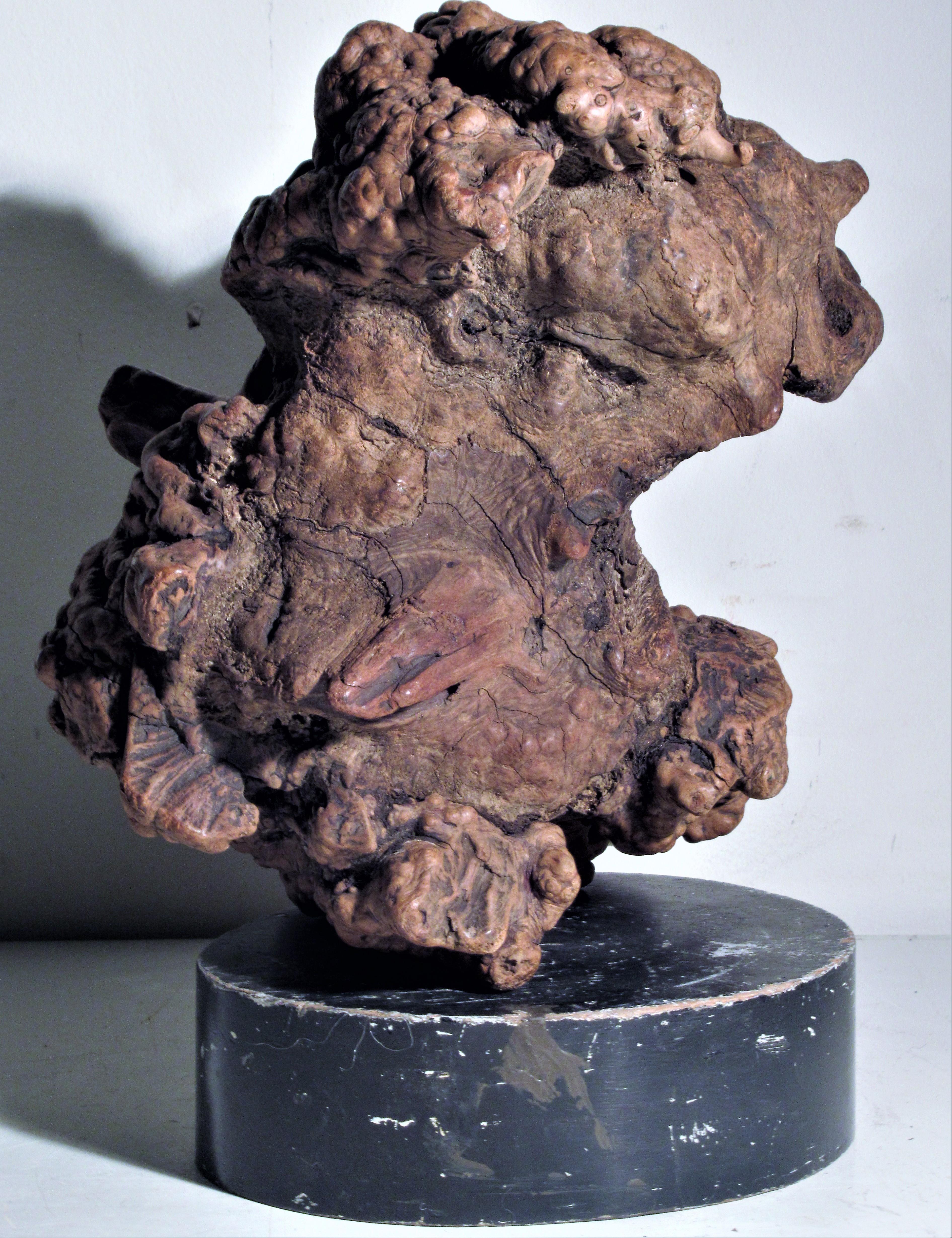 Very Old Asian Burl Root Wood Scholars Stone Object 1