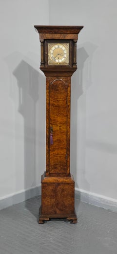 Very Pretty Burr Walnut Grandaughter Longcase Clock