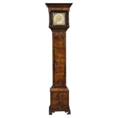 Very Pretty Burr Walnut Grandaughter Longcase Clock