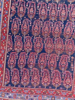 Bobyrug’s Very Pretty Fine Antique Afshar Rug