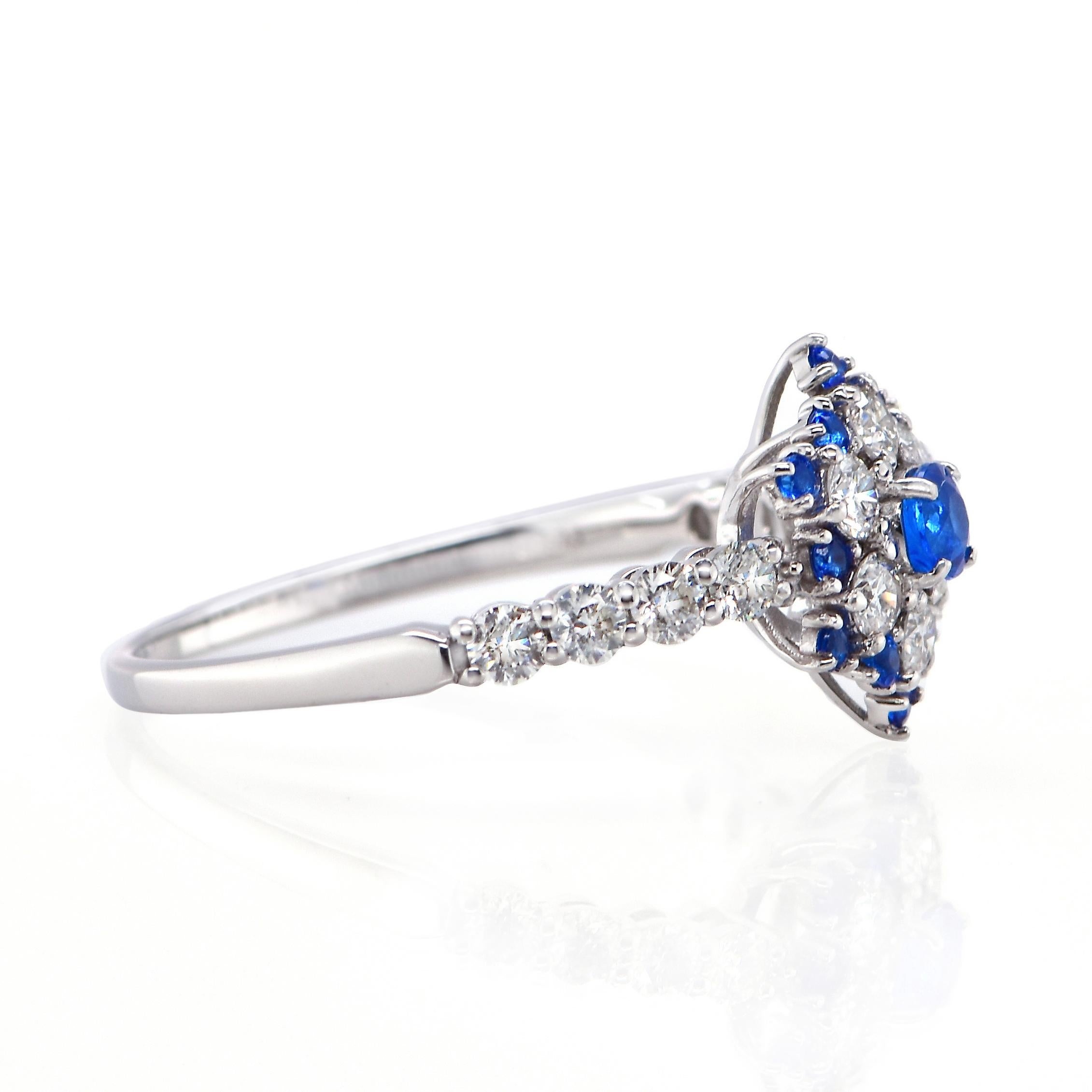 Oval Cut Very Rare 0.16 Carat Natural Hauyne and Diamond Ring Set in Platinum For Sale