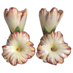 Antique Very Rare 19th Century Pair of Majolica Pink Flowers Vases Delphin Massier