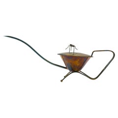 Very Rare Brass Watering Can with Movable Spider, 1950s, Austria