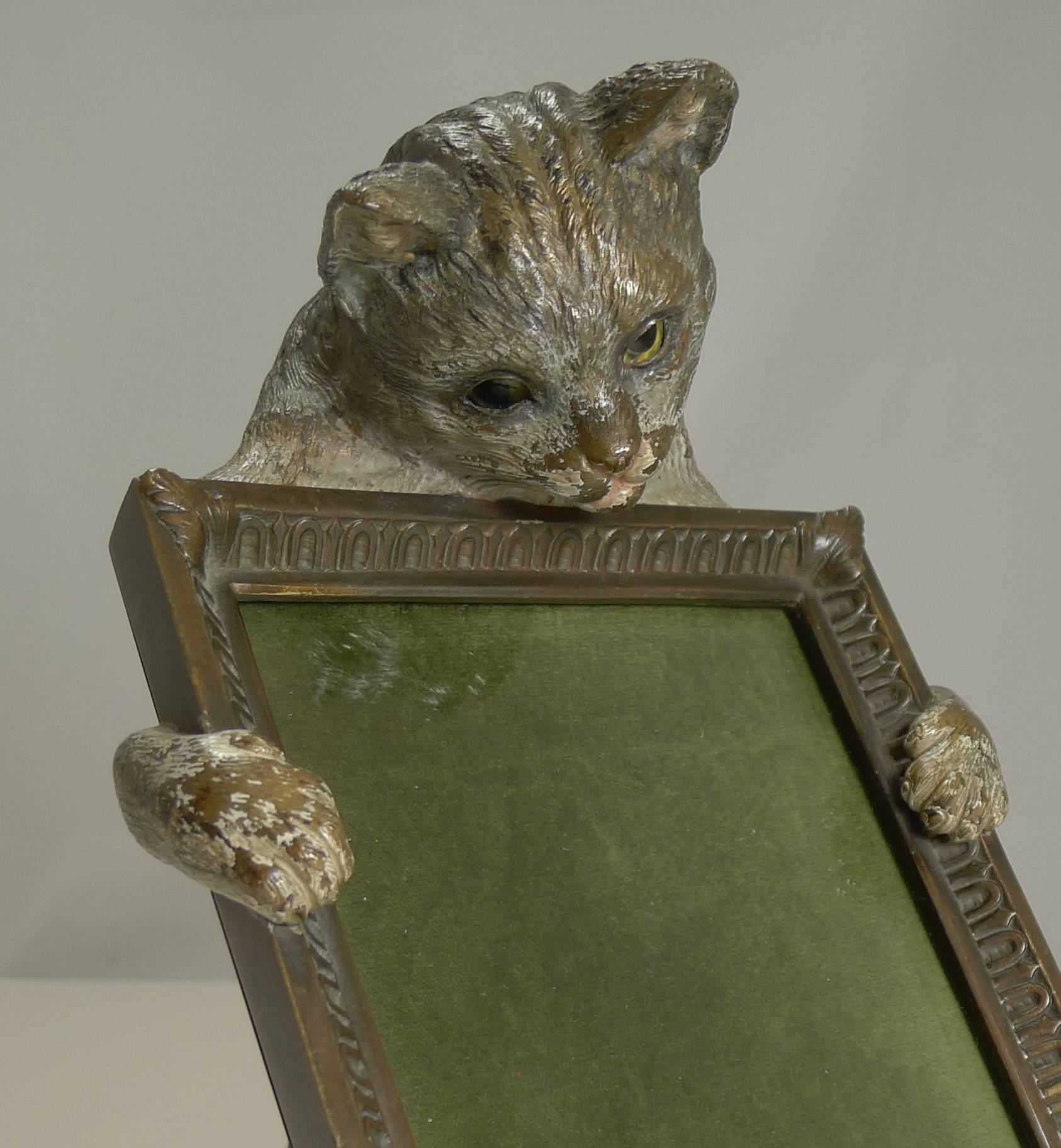 Cold-Painted Very Rare Cold Painted Bronze Novelty Photograph Frame, Cat with Glass Eyes