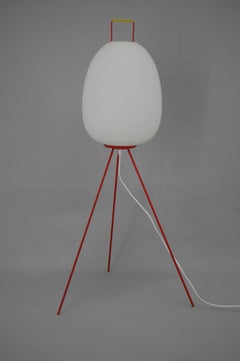 Very Rare Egg Floor Lamp by Napako, 1960s