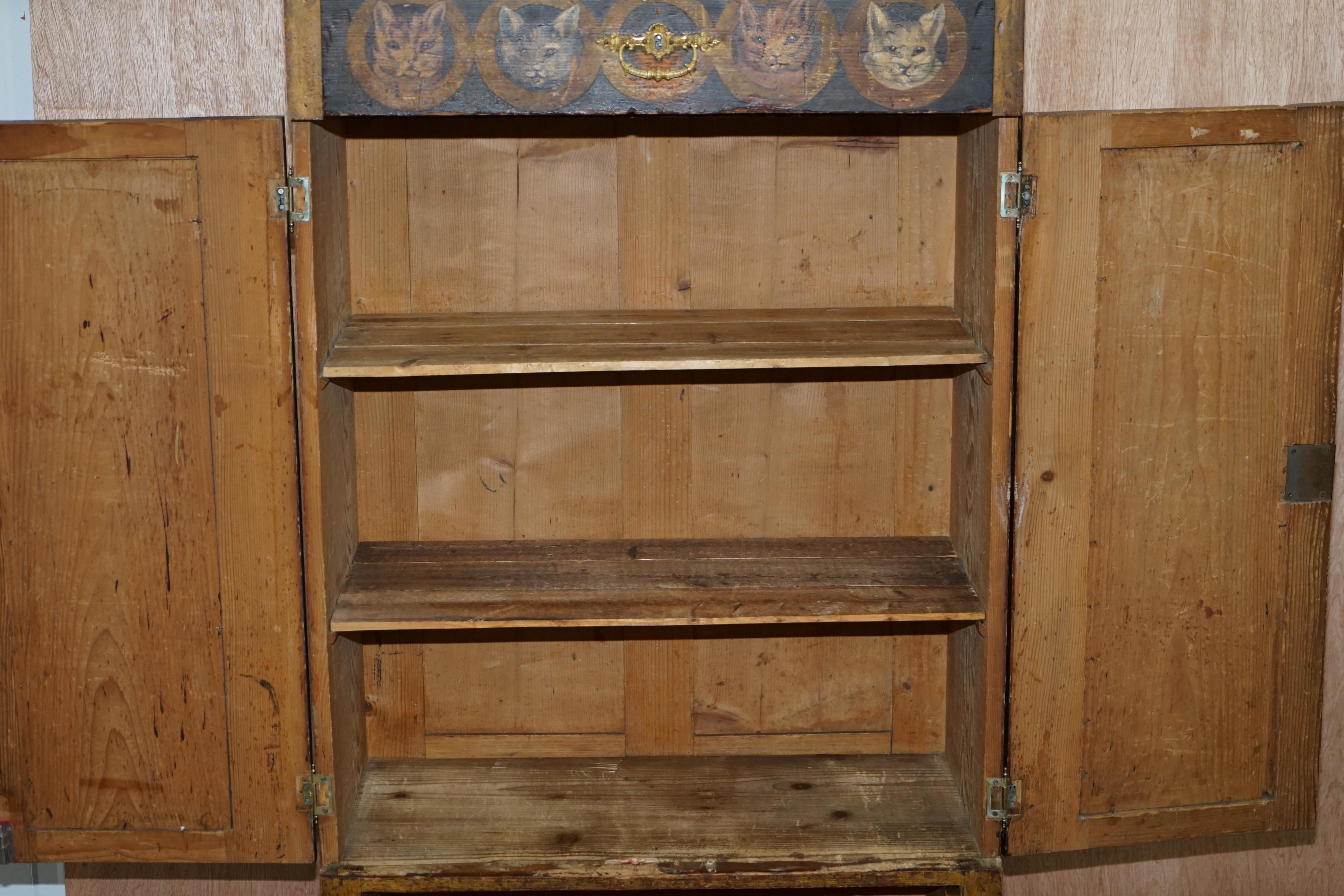 Very Rare Hand Painted Austrian circa 1820 Small Linen Closed Cupboard Cats Dogs 11