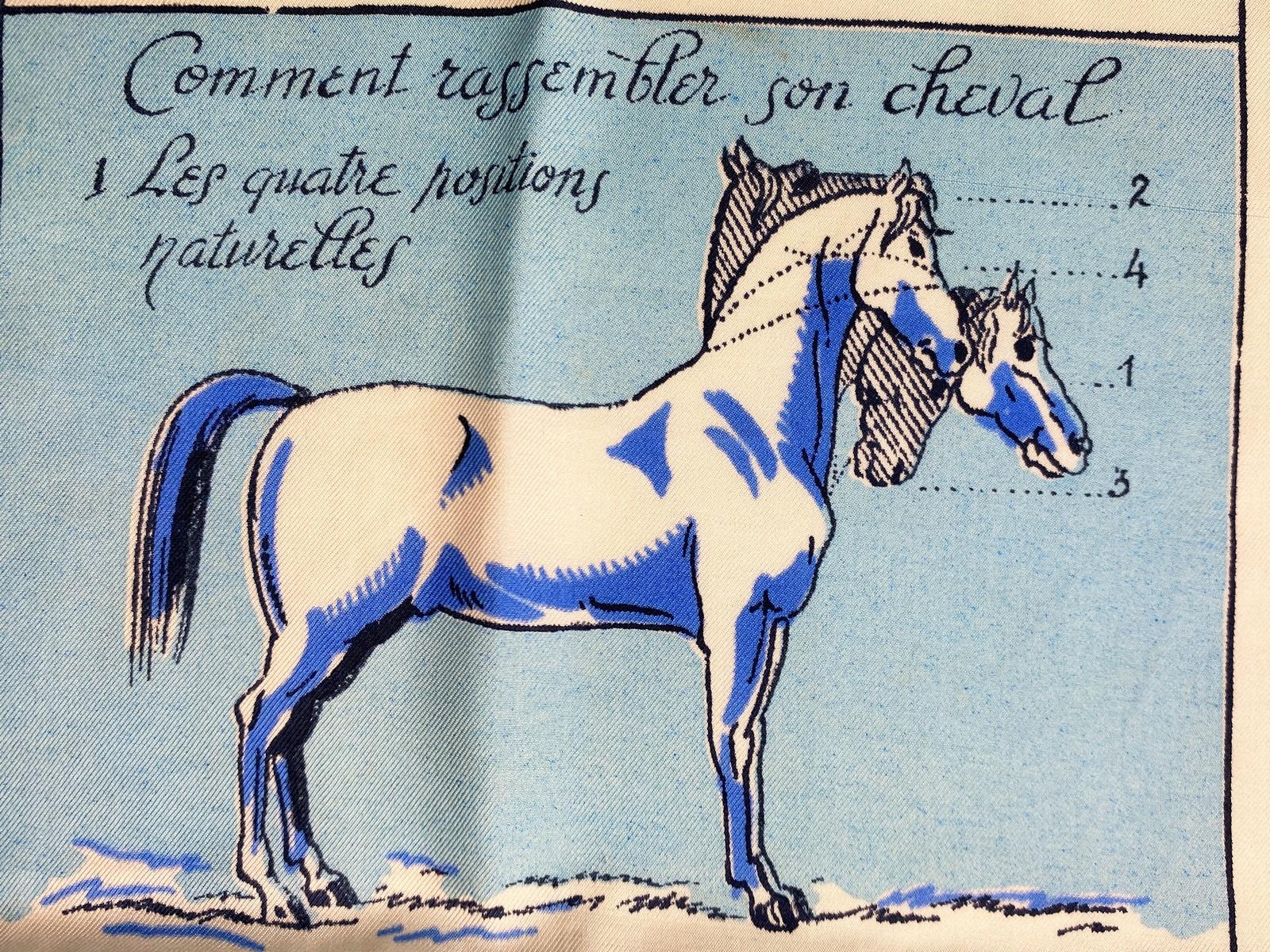 Très rare écharpe Hermès nommée 