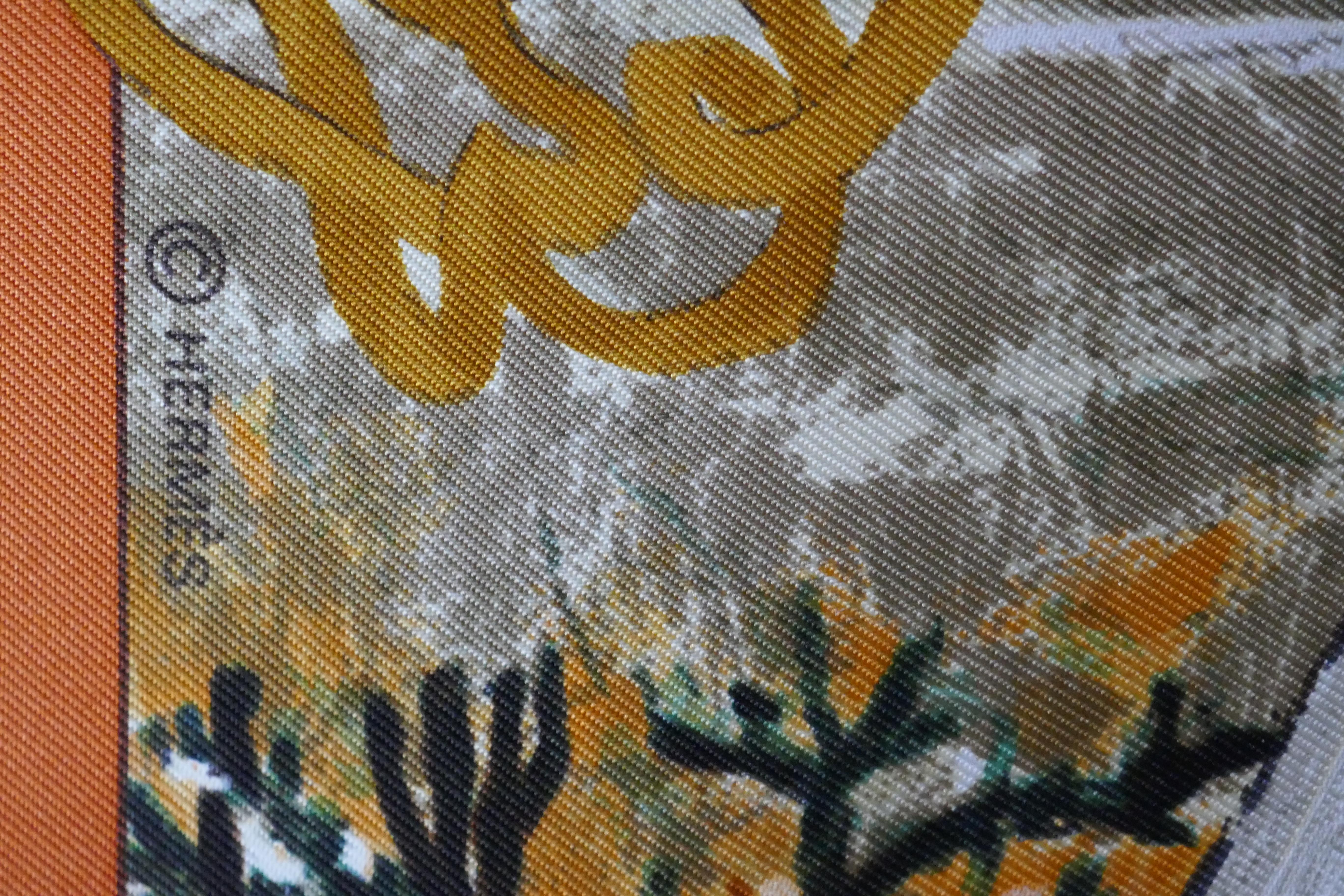 Very Rare Hermes Silk Scarf ”Plumes de l’Ouest” by Kermit Oliver, 1993 4