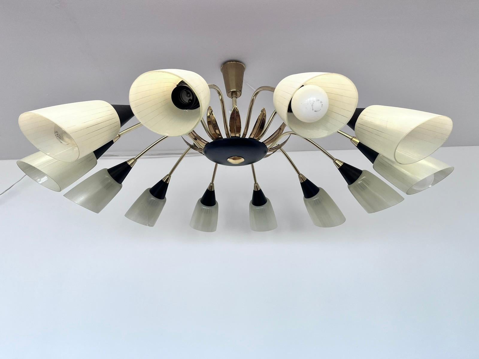Very Rare Large Stilnovo style Chandelier, Germany, 1960s For Sale 1