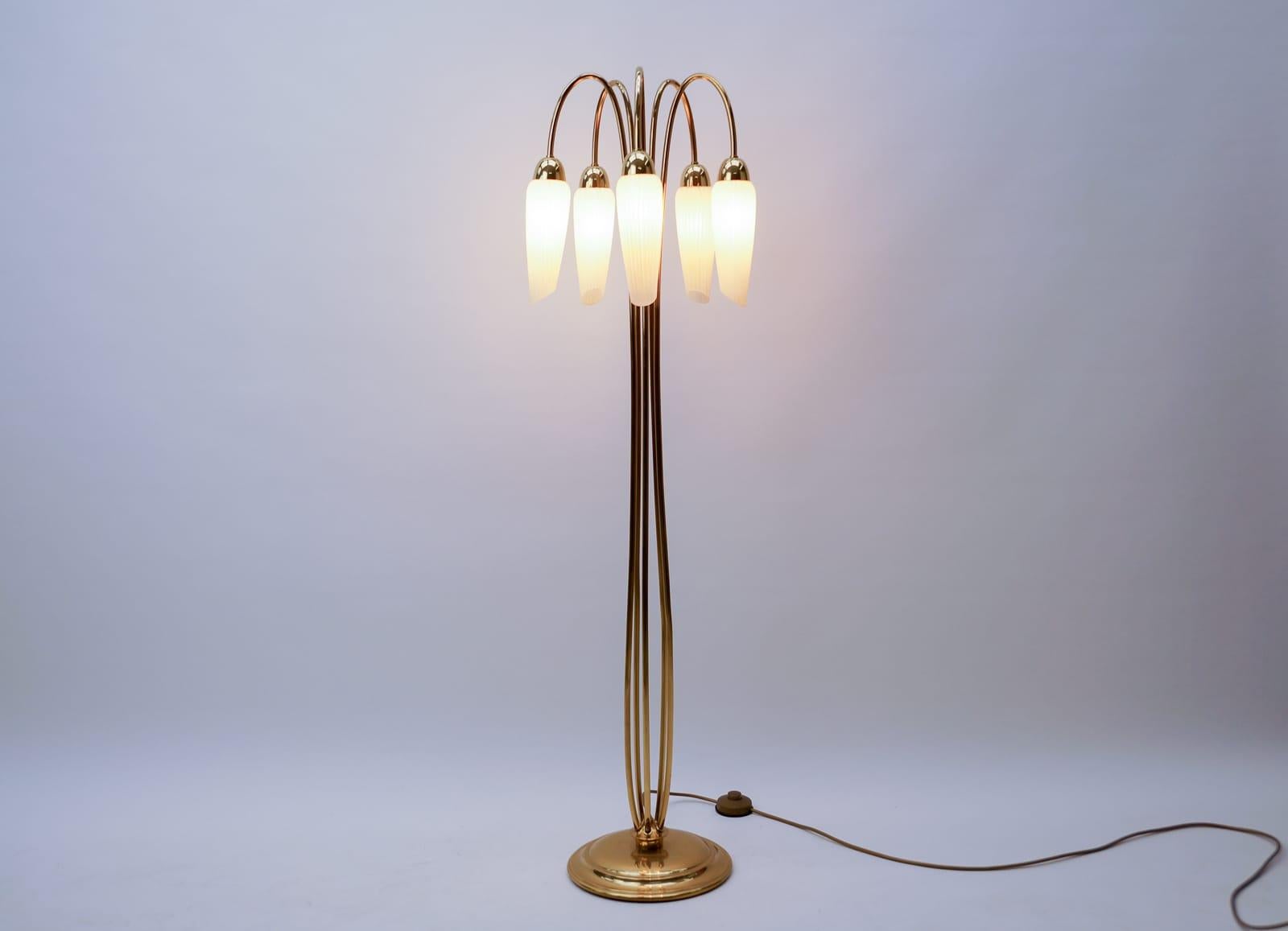 Very rare Mid-Century Modern floor lamp with five glass shades, 1950s Italy

Fully functional.

Five E14 sockets. Works with 220V and 110V.

Wiring is suitable for all countries.
