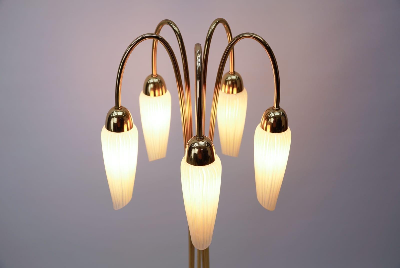 Very Rare Mid-Century Modern Floor Lamp with Five Glass Shades, 1950s Italy For Sale 3