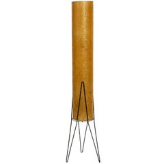 Very Rare Midcentury Italian Modern Floor Lamp with Fiberglass Shade and Metal