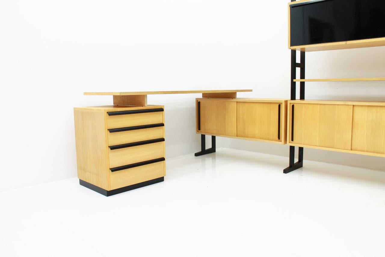 Very Rare Office with a Shelf and a Desk by Alfred Altherr, Switzerland, 1955 In Good Condition In Frankfurt / Dreieich, DE